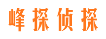 天河市婚姻调查